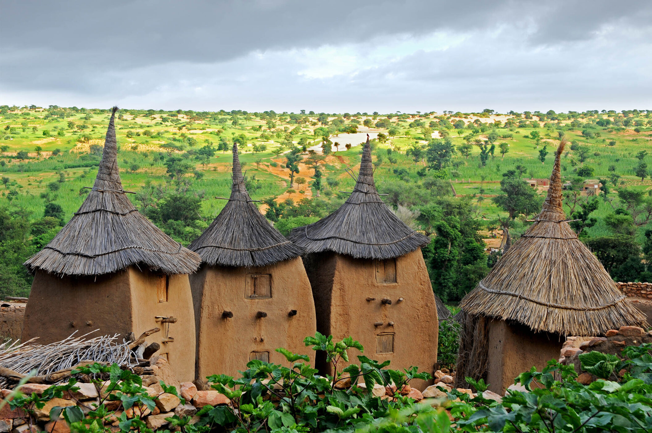 Country Highlight: Mali